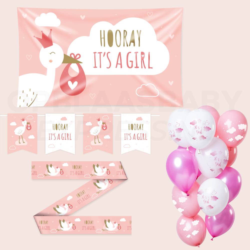Baby versierpakket meisje ooievaar
